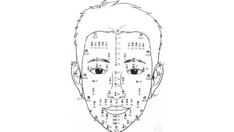 53歲面相|面相看你人生轉折年限